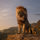 Our kingdom stretches as far as the light touches, and also beyond it, because Disney just bought the shadows.